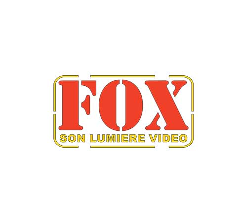 Fox LSV