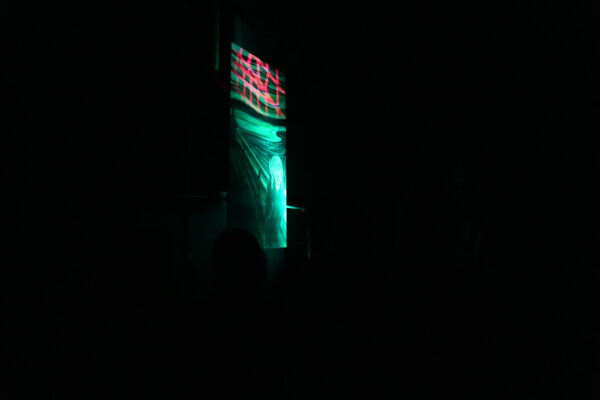 Vue sur l'installation immersive muséale - image 4