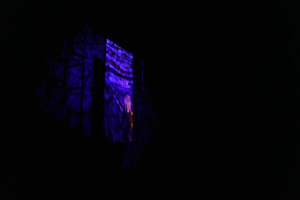 Vue sur l'installation immersive muséale - image 5